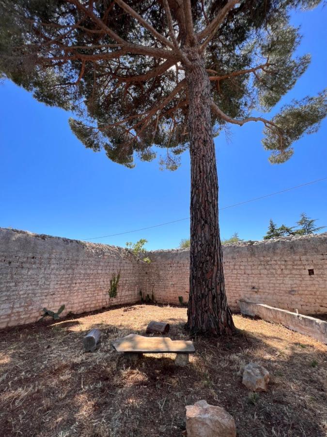 Masseria Concorrano Leilighet Castellana Grotte Eksteriør bilde